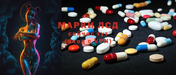 PSILOCYBIN Беломорск