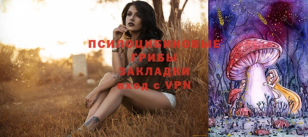 PSILOCYBIN Беломорск