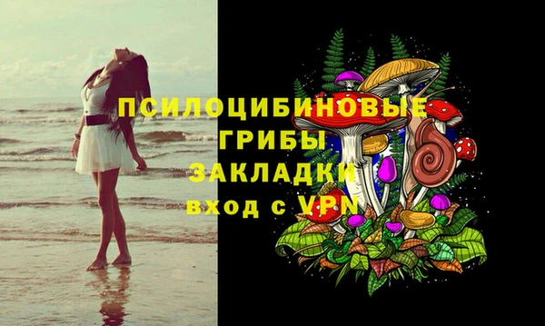 эйфоретик Белокуриха