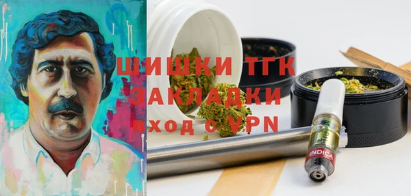 PSILOCYBIN Беломорск