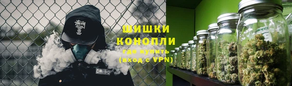 PSILOCYBIN Беломорск